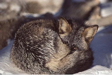 B社《星空》油管未公开视频 介绍游戏3座城市