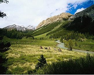 开发商被告知明年4月前不会发售任天堂Switch 2